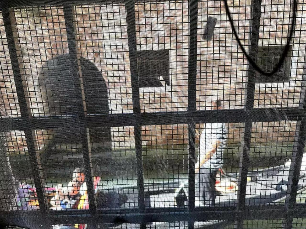 Mascherone Apartment 베니스 외부 사진